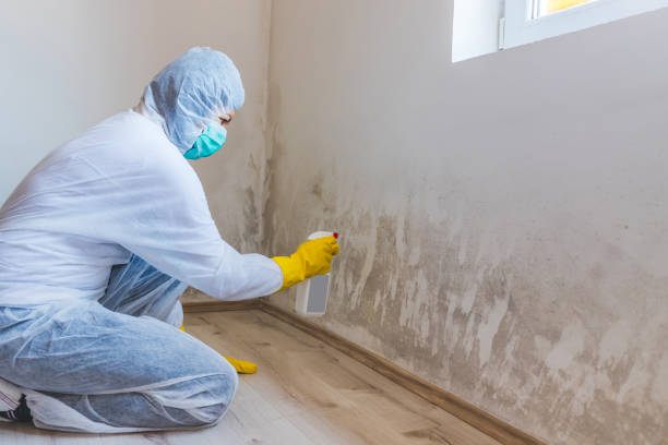 Best Mold Testing  in Kingman, KS