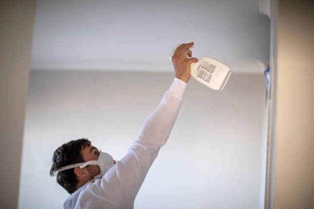 Best Water Damage Restoration  in Kingman, KS