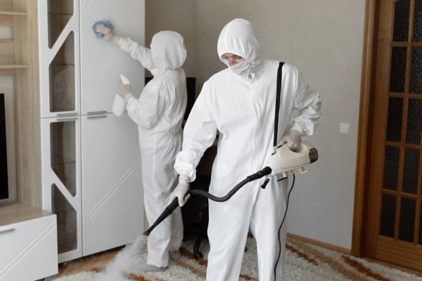 Best Mold Testing  in Kingman, KS