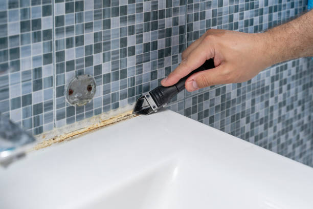 Home Mold Removal in Kingman, KS