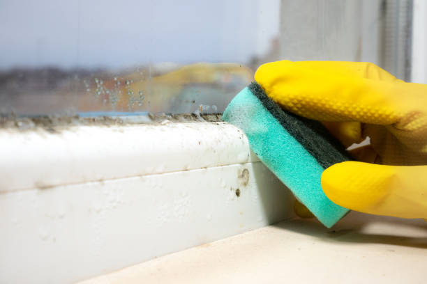 Best Mold Testing  in Kingman, KS