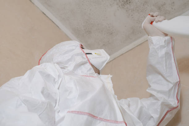 Best Fast Mold Removal  in Kingman, KS