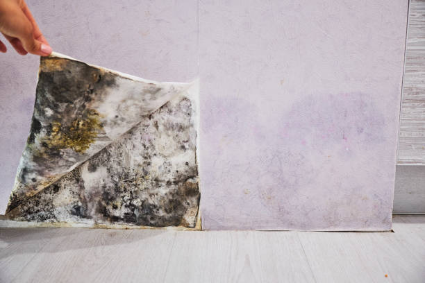 Water Damage Restoration in Kingman, KS